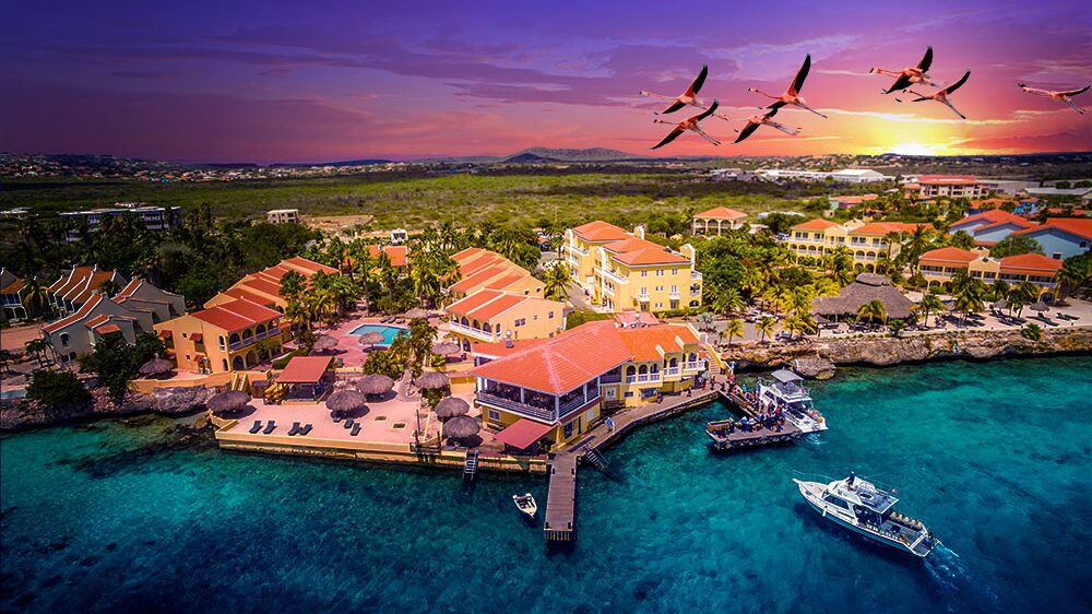 Buddy Dive Resort.jpeg